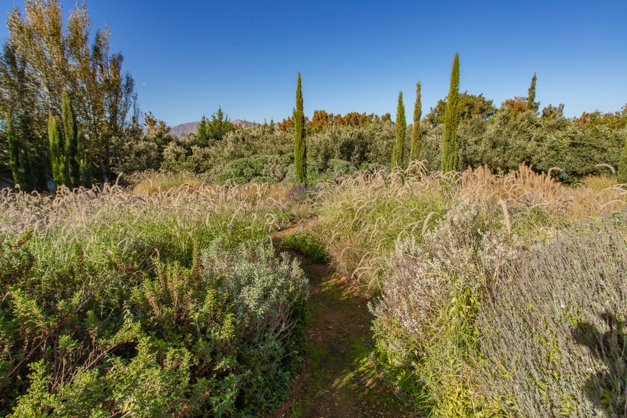 4 Bedroom Property for Sale in Winelands Western Cape